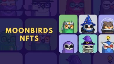 Moonbirds NFTs: A Complete Guide