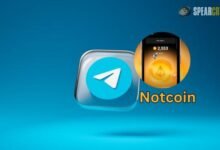 Notcoin's Rapid Growth Boosts Telegram Crypto Adoption