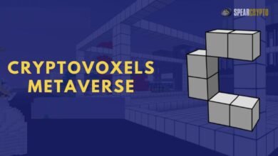 Cryptovoxels Metaverse: A In-depth Explanation 2024