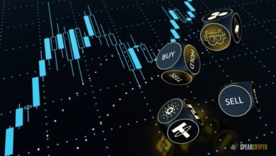 Systematic Crypto Trading: Tackling Cryptomarket Complexity