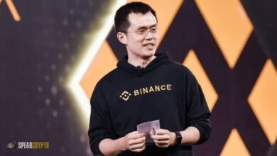 Binance Founder CZ Zhao Released from Custody: What Next?