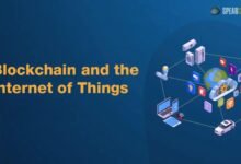 Blockchain and the Internet of Things: A Symbiotic Future