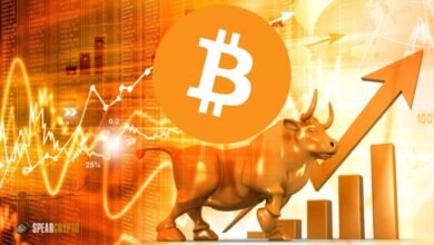 Crypto Bull Market: What to Expect in 2024 and Beyond