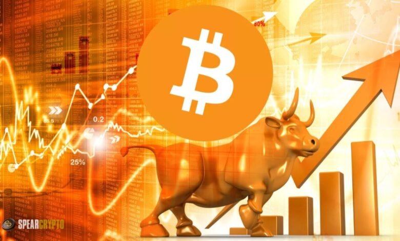 Crypto Bull Market: What to Expect in 2024 and Beyond