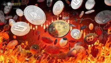 Crypto Coins Crashing: Causes, Effects, and Future Prospects