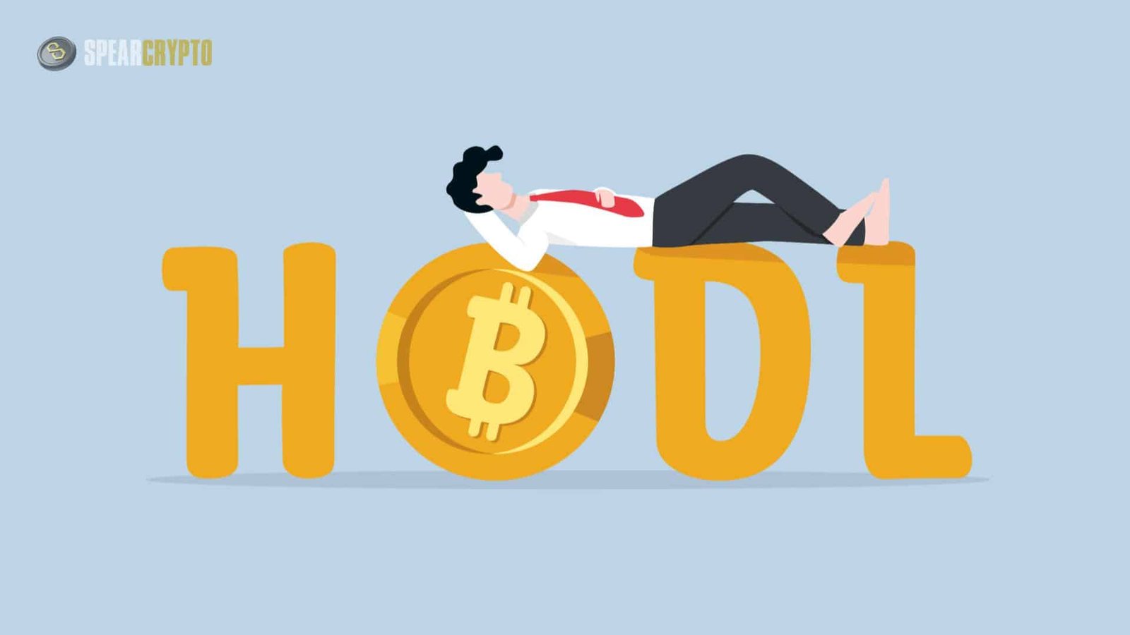 Long-Term Hold (HODL) Crypto Investment Strategy