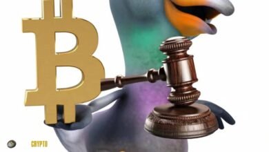 Swan Bitcoin Sues Former Employees Over Tether-Linked Mining Business