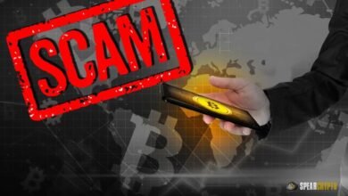 Crypto Investment Scams: A Growing Concern in 2024