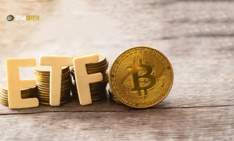 Bitcoin ETFs Gain