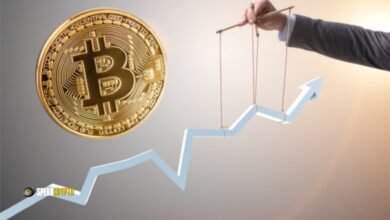 Crypto Market Manipulation