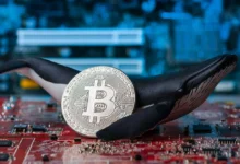 Bitcoin Whale Impact