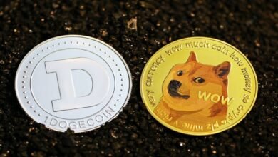 Dogecoin price prediction 2025