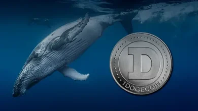 Dogecoin whale dump impact