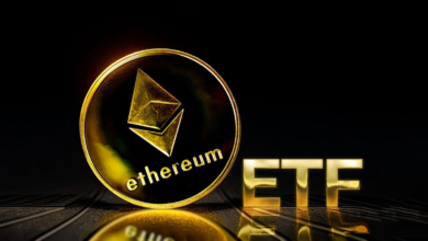 Ethereum ETF outflows 2025