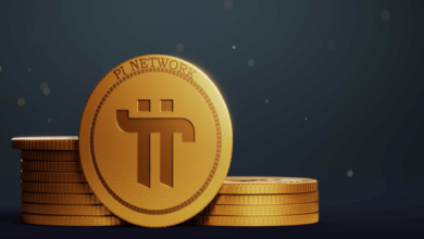 Pi Coin investment