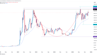 BNB Price Stabilizes After Trump's Strategic Reserve Exclusion