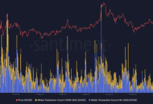 Dogecoin Buy Signal Indicates Possible Price Rebound