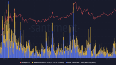 Dogecoin Buy Signal Indicates Possible Price Rebound