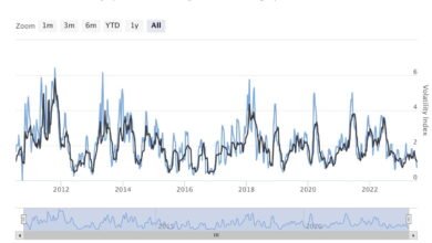 Mutuum Finance Presale Gains Traction Amid Bitcoin Volatility