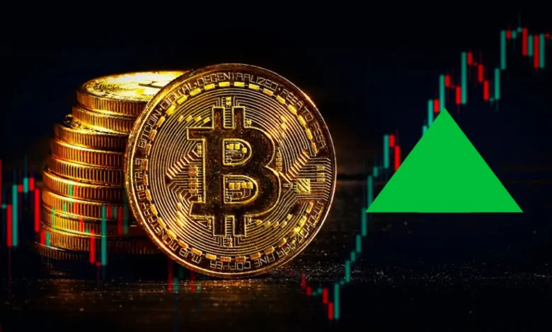 Bitcoin Dominance Surges in 2025