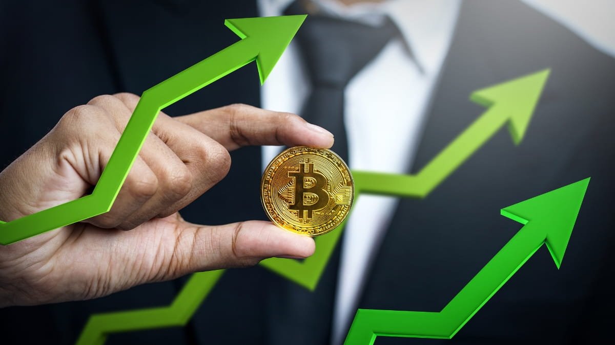 Bitcoin Price Drivers