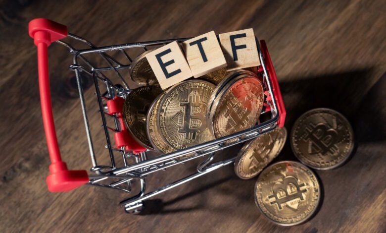 Bitcoin Spot ETF Outflows Drive Market Risk and Price Decline