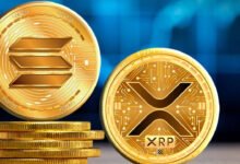 XRP Surges After $100M Transfer and ETF Hopes Amid Bitcoin