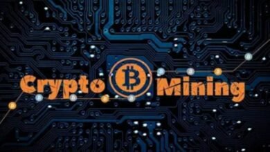 4 Cryptocurrency Mining Platforms in 2025 Using Top Mining Rigs