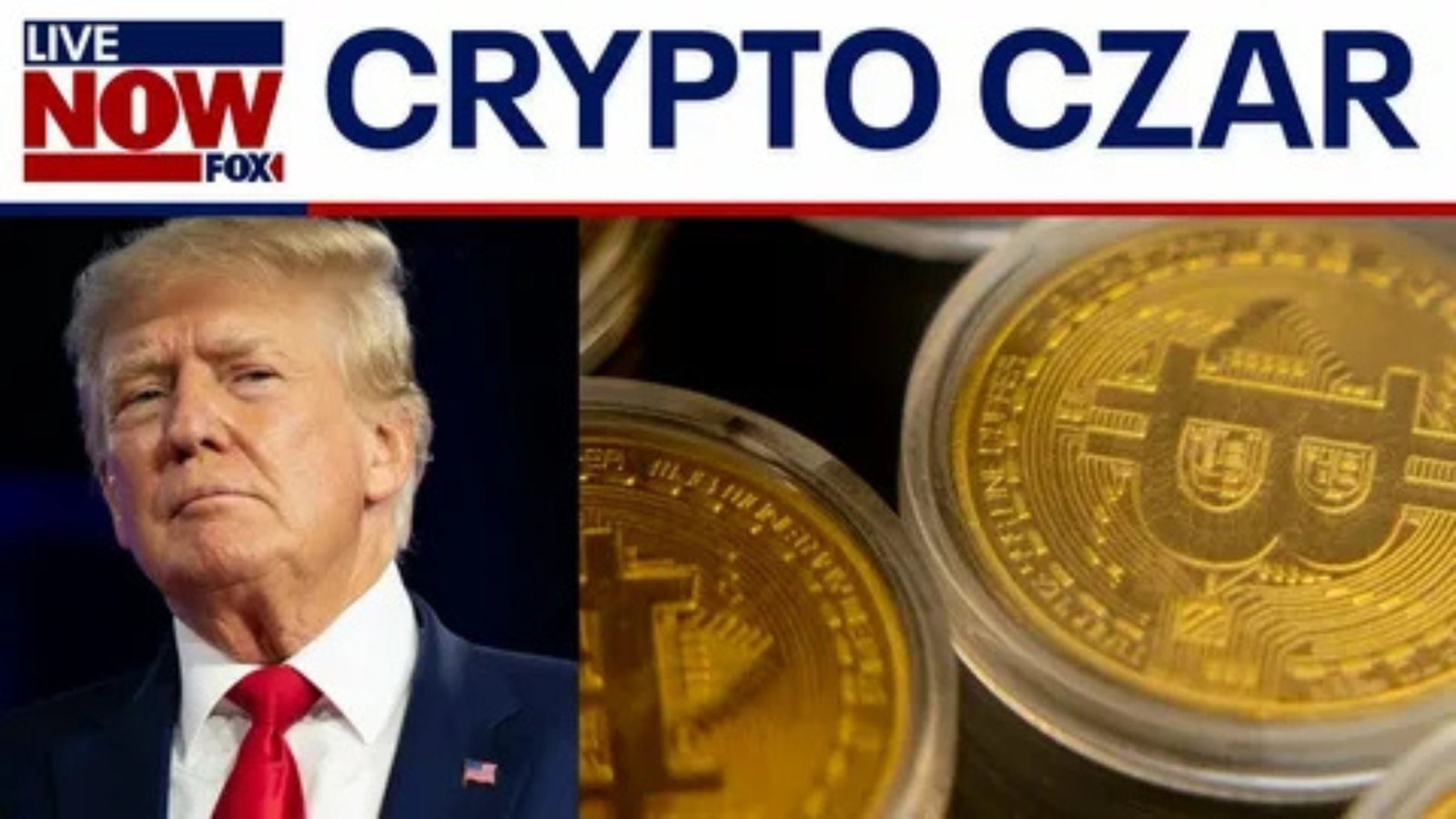 Industry Response to the Trump AI Crypto Czar Controversy