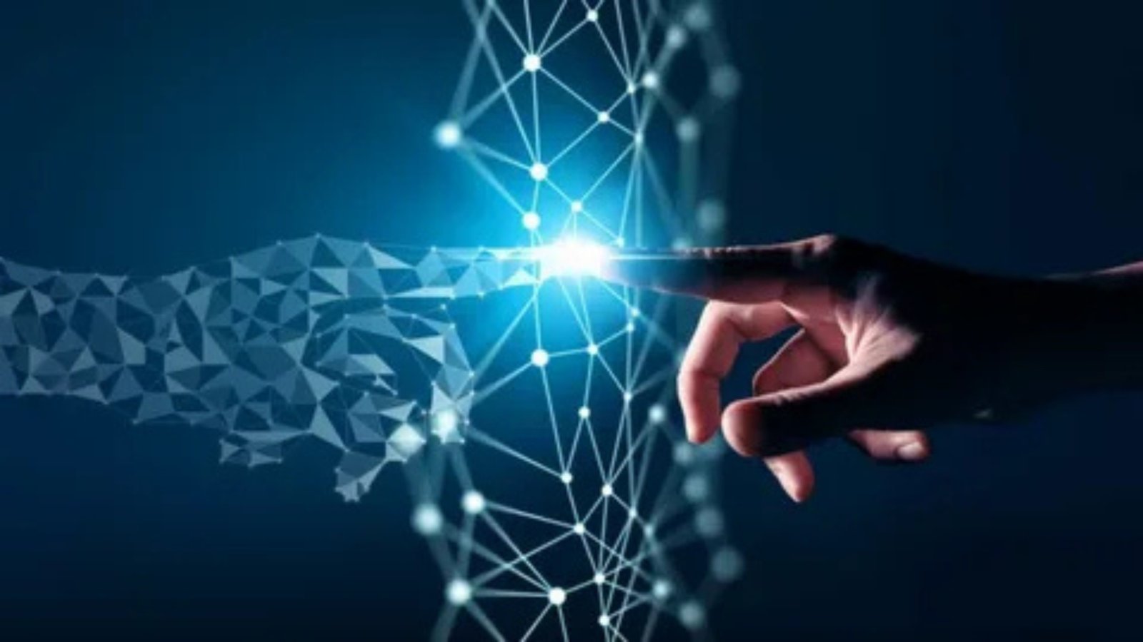 Technological Innovation Catalyst