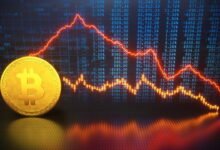 Crypto IPO Crash