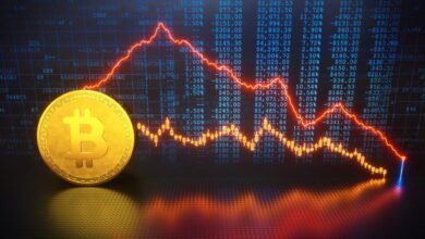 Crypto IPO Crash