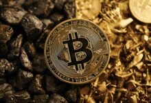 Crypto Justice Divide