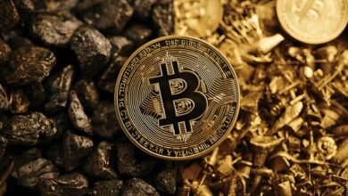 Crypto Justice Divide