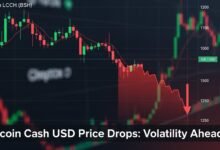 Bitcoin Cash USD Price Drops Volatility Ahead