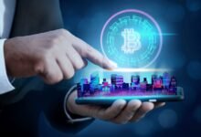 Blockchain Developer Activity