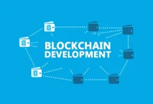 Privacy Blockchain Development