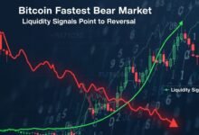 Bitcoin Fastest Bear Market Liquidity Signals Point to Reversal