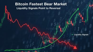 Bitcoin Fastest Bear Market Liquidity Signals Point to Reversal