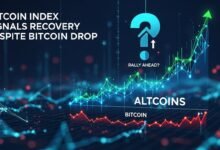 Altcoin Index Signals Recovery Despite Bitcoin Drop — Rally Ahead