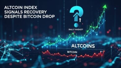 Altcoin Index Signals Recovery Despite Bitcoin Drop — Rally Ahead