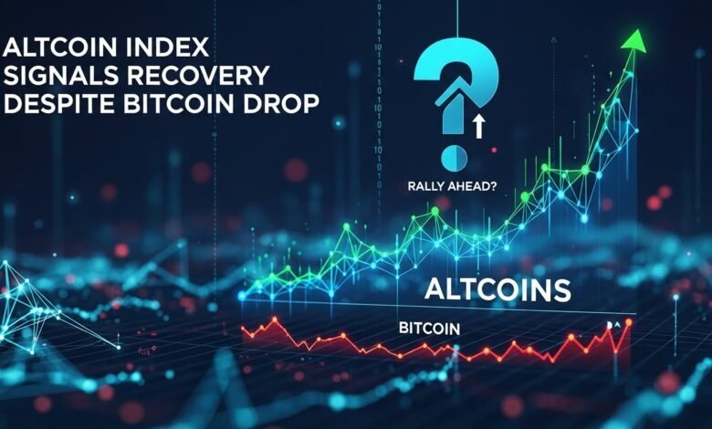 Altcoin Index Signals Recovery Despite Bitcoin Drop — Rally Ahead