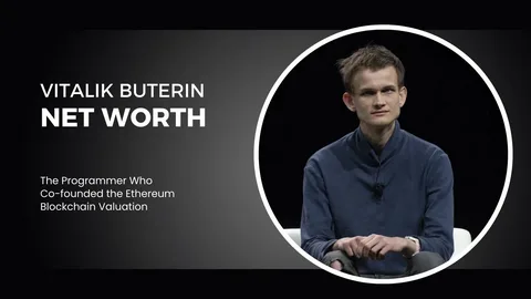 Vitalik Buterin Urges Leniency Tornado Cash Developer Sentencing