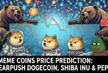 3 Meme Coins To Watch In The Final Week Of November