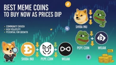 Best Meme Coins to Buy Now as Prices Dip