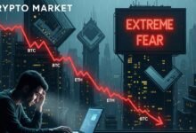 Crypto Market Extreme Fear Bitcoin & Ethereum Rebound Analysis