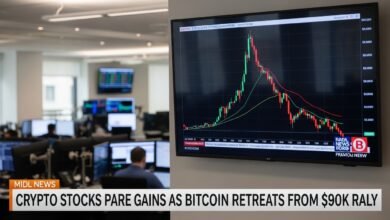 Crypto Stocks Pare Gains as Bitcoin Retreats From $90K Rally